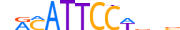 TEAD4.H14RSNP.0.PS.A motif logo (TEAD4 gene, TEAD4_HUMAN protein)