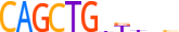 TFAP4.H14RSNP.0.PSM.A motif logo (TFAP4 gene, TFAP4_HUMAN protein)