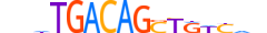 TGIF2.H14RSNP.0.S.B motif logo (TGIF2 gene, TGIF2_HUMAN protein)