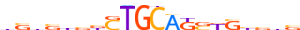 ZN292.H14RSNP.0.PSG.D motif logo (ZNF292 gene, ZN292_HUMAN protein)