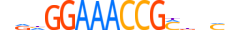 ZN606.H14RSNP.0.PSG.D motif logo (ZNF606 gene, ZN606_HUMAN protein)