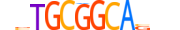 ZN729.H14RSNP.0.SG.D motif logo (ZNF729 gene, ZN729_HUMAN protein)