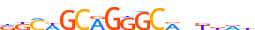 ZSC31.H14RSNP.0.P.D motif logo (ZSCAN31 gene, ZSC31_HUMAN protein)